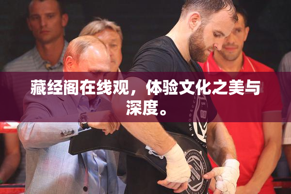 藏经阁在线观，体验文化之美与深度。