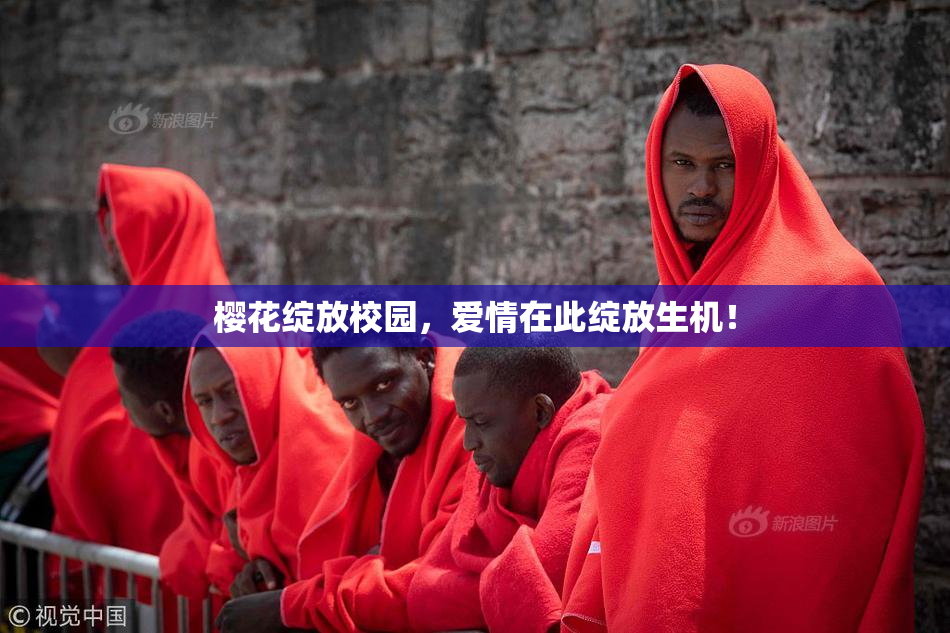 樱花绽放校园，爱情在此绽放生机！