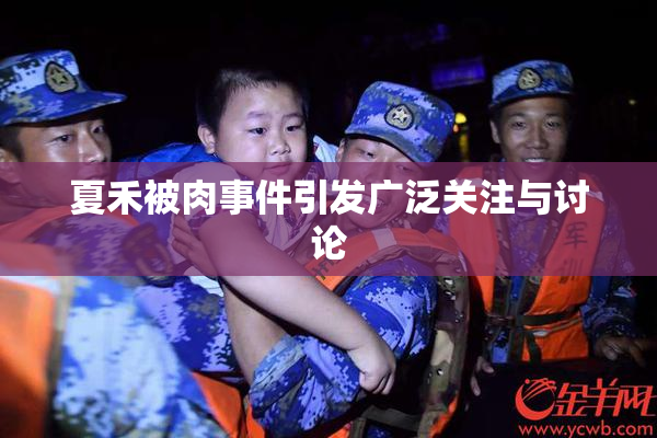 夏禾被肉事件引发广泛关注与讨论