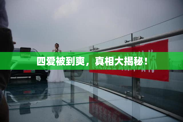 四爱被到爽，真相大揭秘！