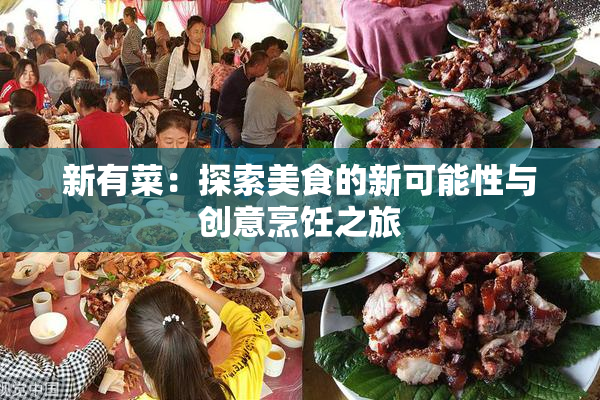 新有菜：探索美食的新可能性与创意烹饪之旅