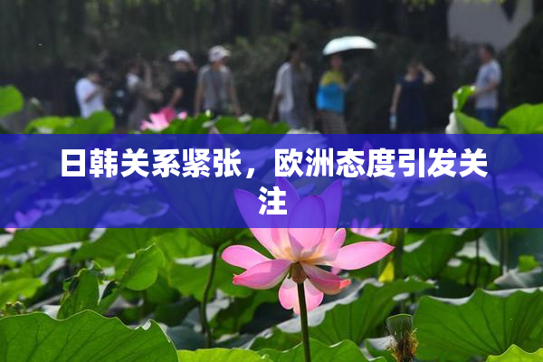 日韩关系紧张，欧洲态度引发关注