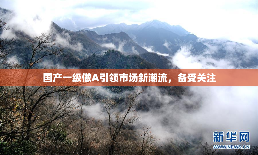 国产一级做A引领市场新潮流，备受关注