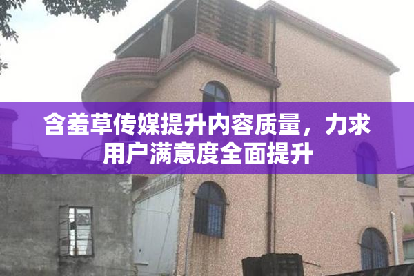 含羞草传媒提升内容质量，力求用户满意度全面提升