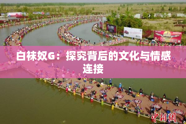 白袜奴G：探究背后的文化与情感连接