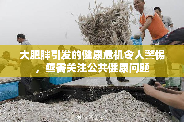 大肥胖引发的健康危机令人警惕，亟需关注公共健康问题