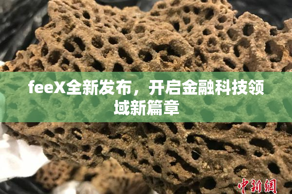 feeX全新发布，开启金融科技领域新篇章