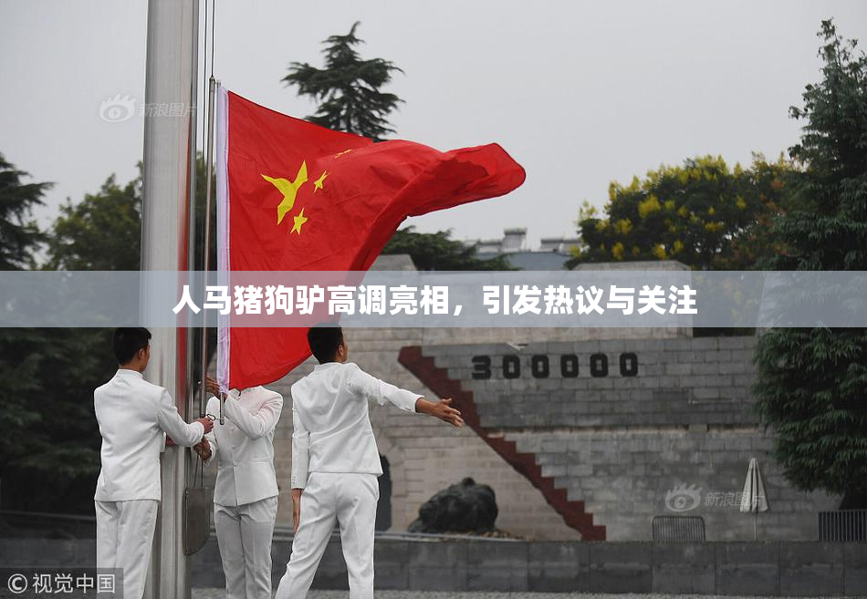人马猪狗驴高调亮相，引发热议与关注