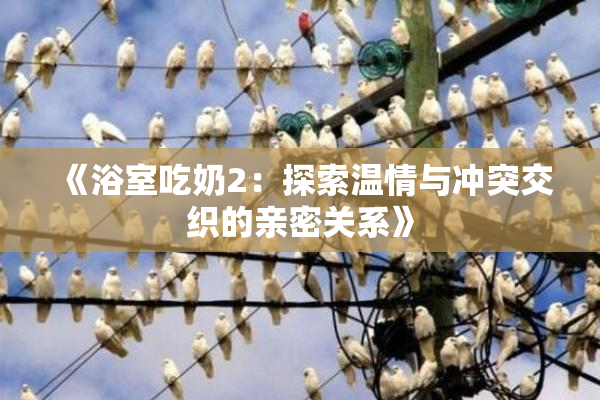《浴室吃奶2：探索温情与冲突交织的亲密关系》