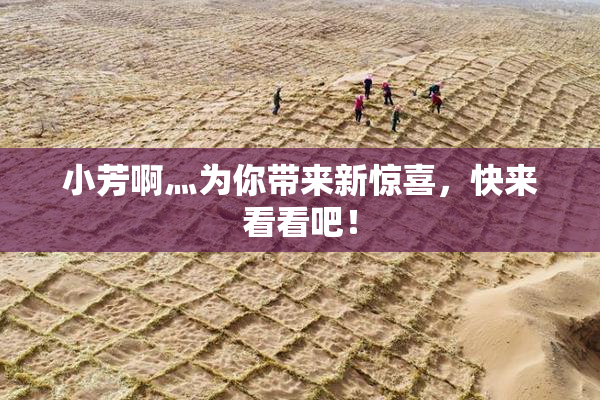 小芳啊灬为你带来新惊喜，快来看看吧！