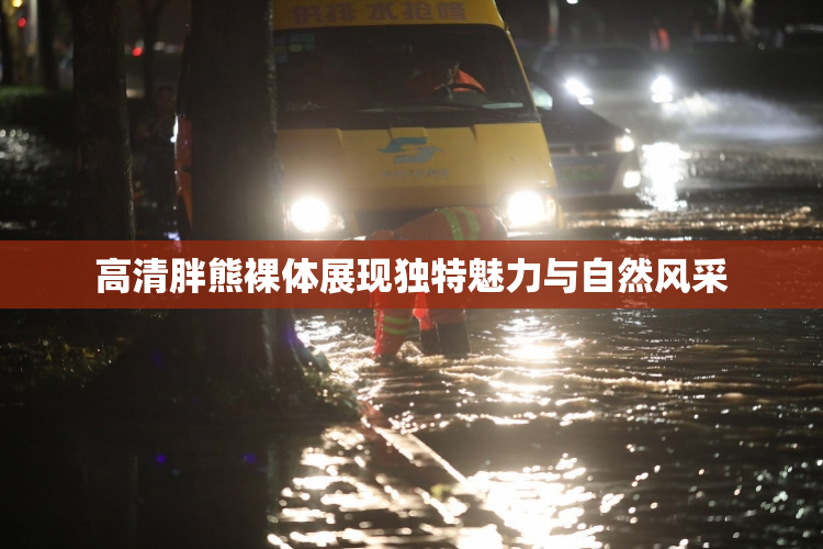 高清胖熊裸体展现独特魅力与自然风采