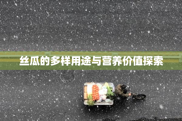 丝瓜的多样用途与营养价值探索