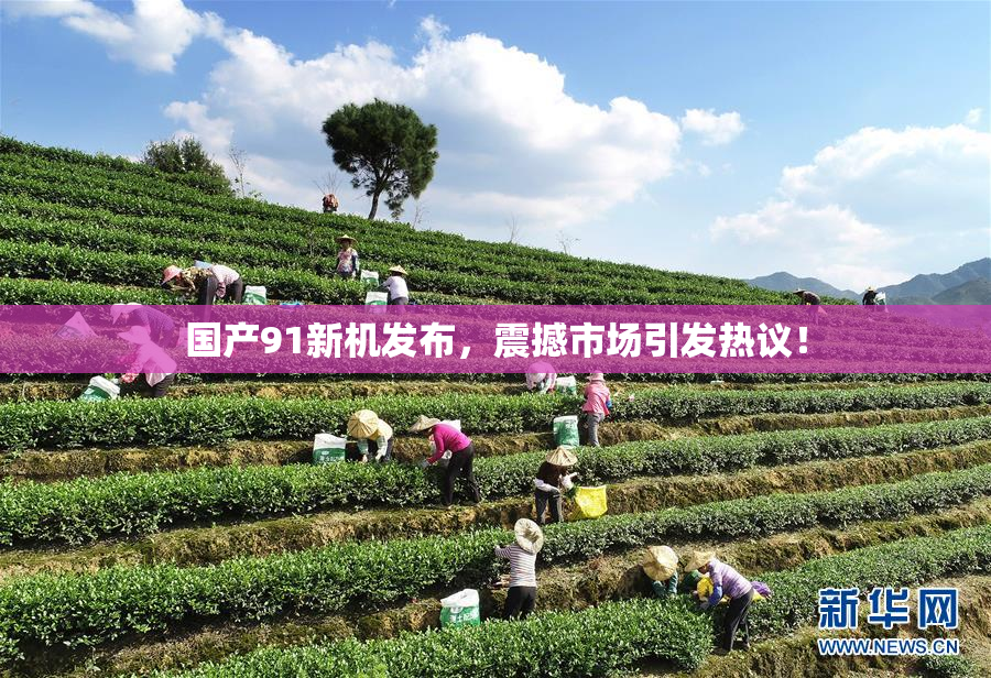 国产91新机发布，震撼市场引发热议！