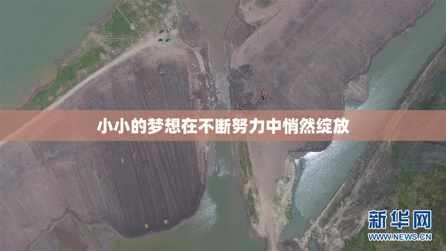 小小的梦想在不断努力中悄然绽放