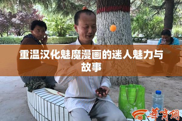 重温汉化魅魔漫画的迷人魅力与故事