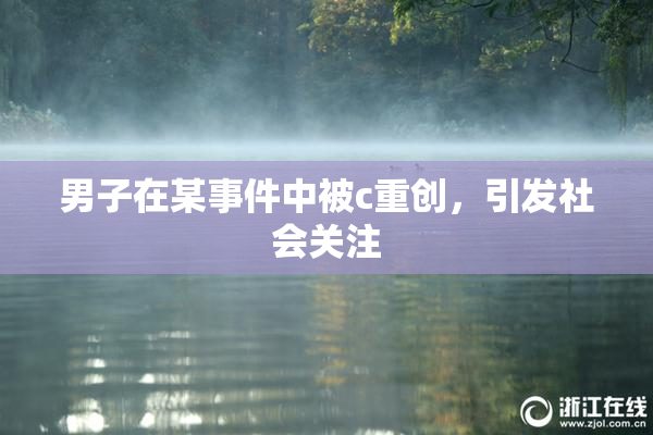 男子在某事件中被c重创，引发社会关注