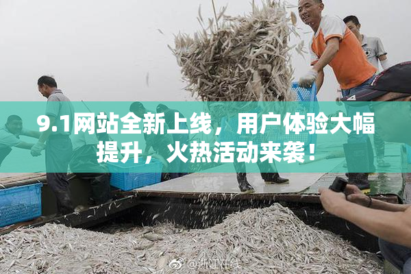 9.1网站全新上线，用户体验大幅提升，火热活动来袭！