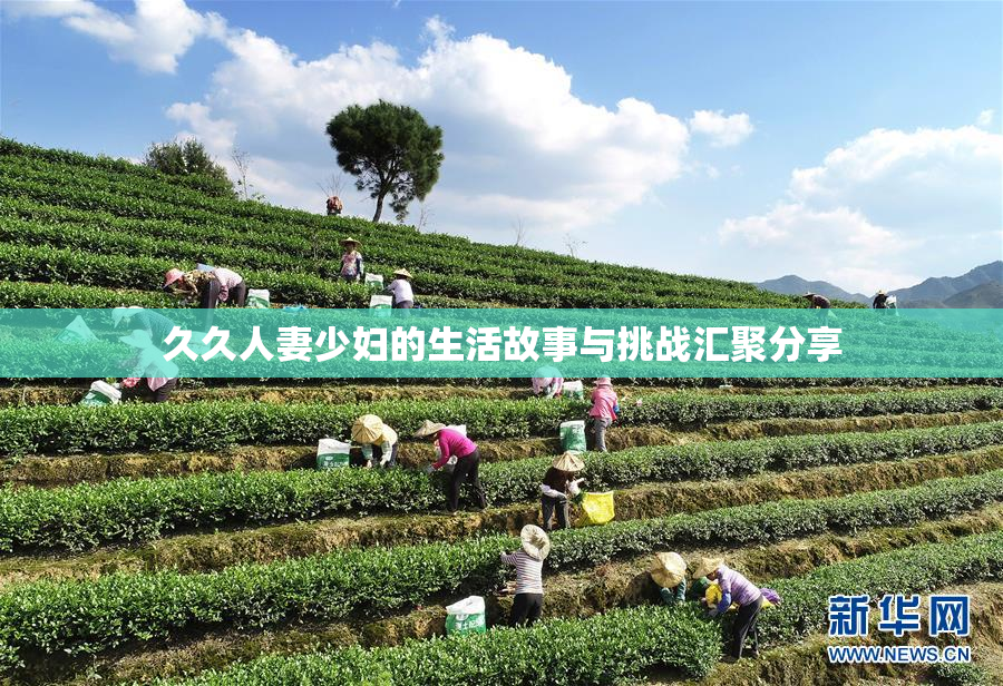 久久人妻少妇的生活故事与挑战汇聚分享