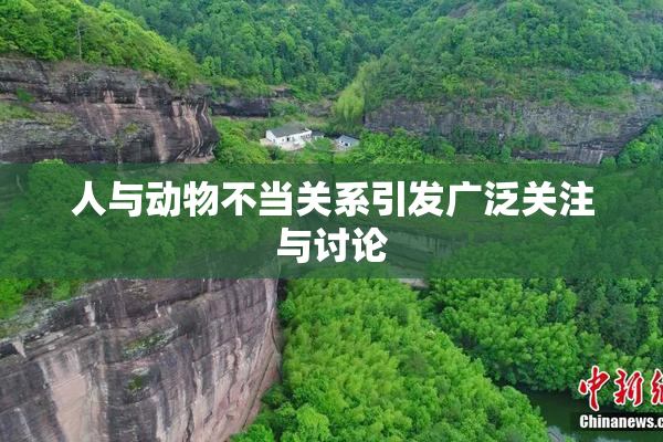 人与动物不当关系引发广泛关注与讨论