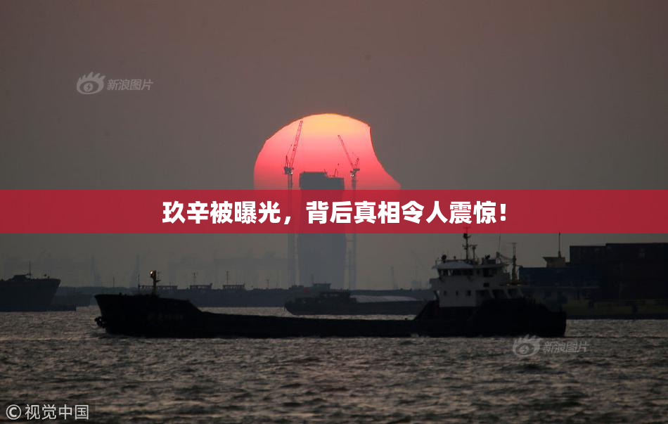 玖辛被曝光，背后真相令人震惊！