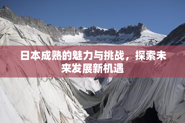 日本成熟的魅力与挑战，探索未来发展新机遇