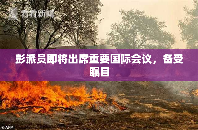 彭派员即将出席重要国际会议，备受瞩目