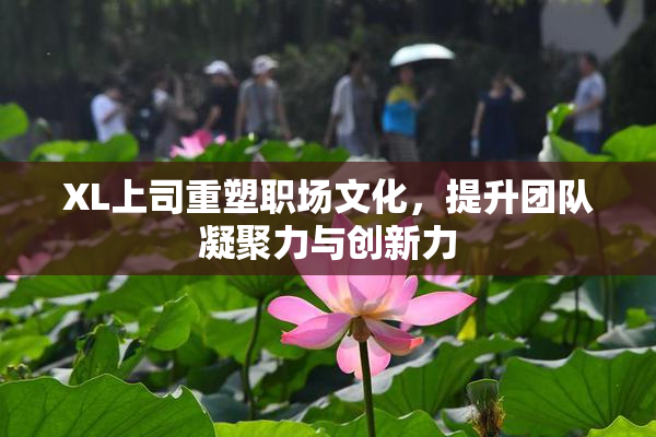 XL上司重塑职场文化，提升团队凝聚力与创新力