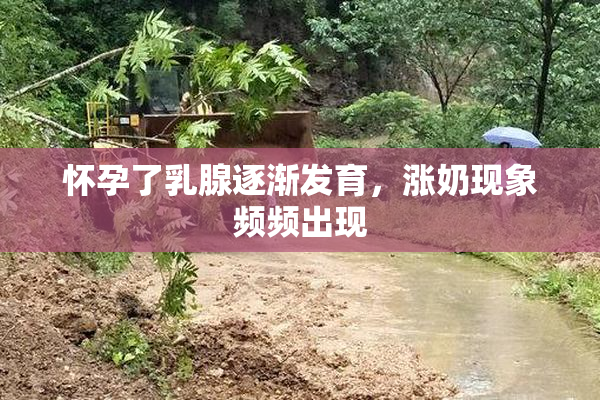 怀孕了乳腺逐渐发育，涨奶现象频频出现