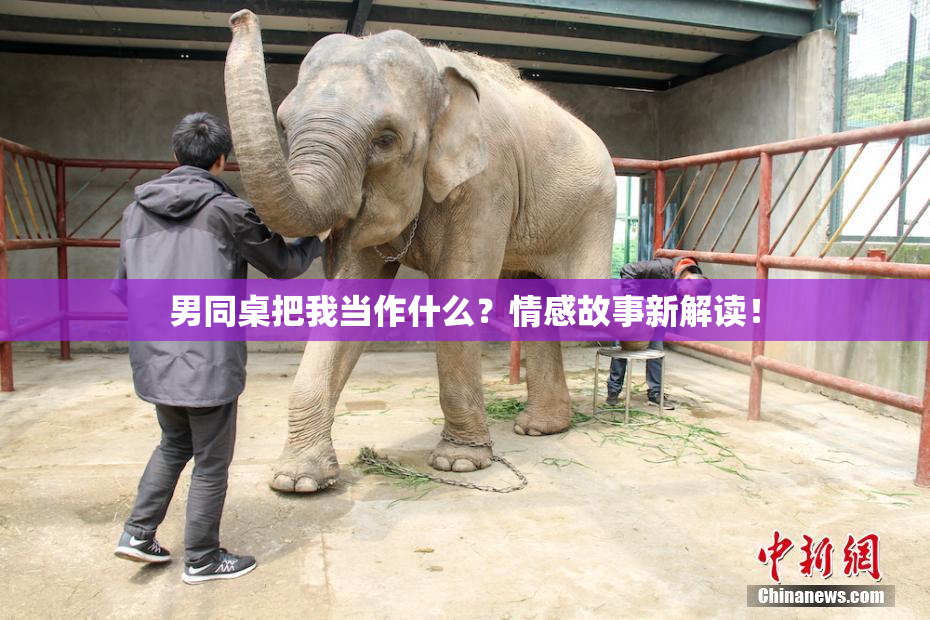 男同桌把我当作什么？情感故事新解读！