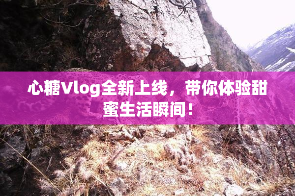 心糖Vlog全新上线，带你体验甜蜜生活瞬间！