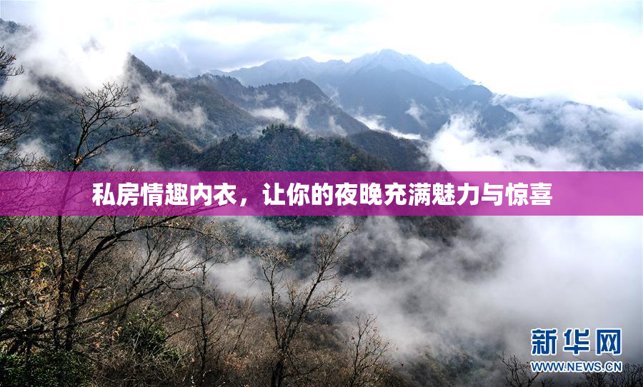 私房情趣内衣，让你的夜晚充满魅力与惊喜