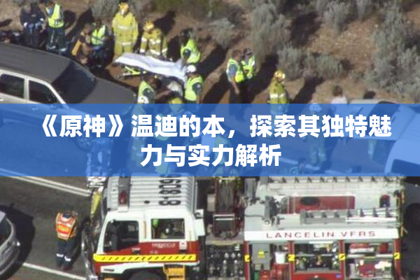 《原神》温迪的本，探索其独特魅力与实力解析