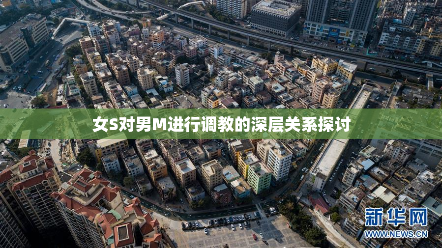 女S对男M进行调教的深层关系探讨