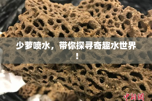 少萝喷水，带你探寻奇趣水世界！