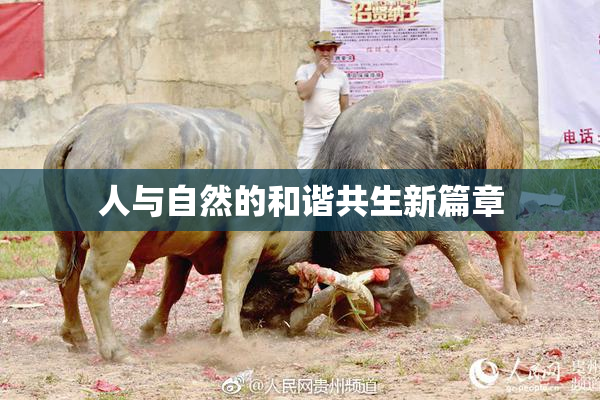 人与自然的和谐共生新篇章