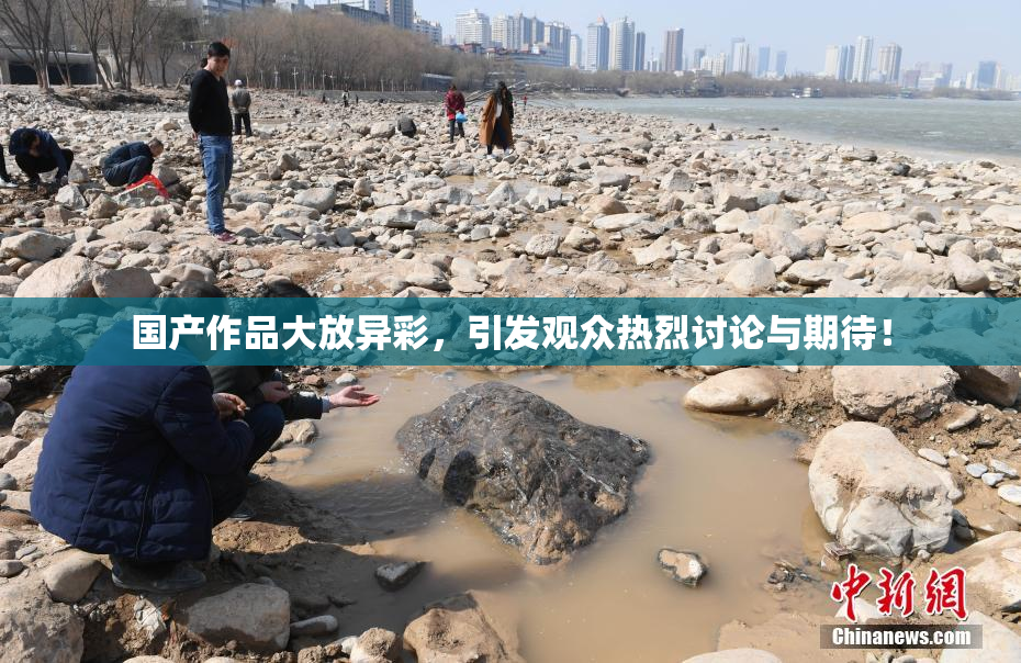 国产作品大放异彩，引发观众热烈讨论与期待！