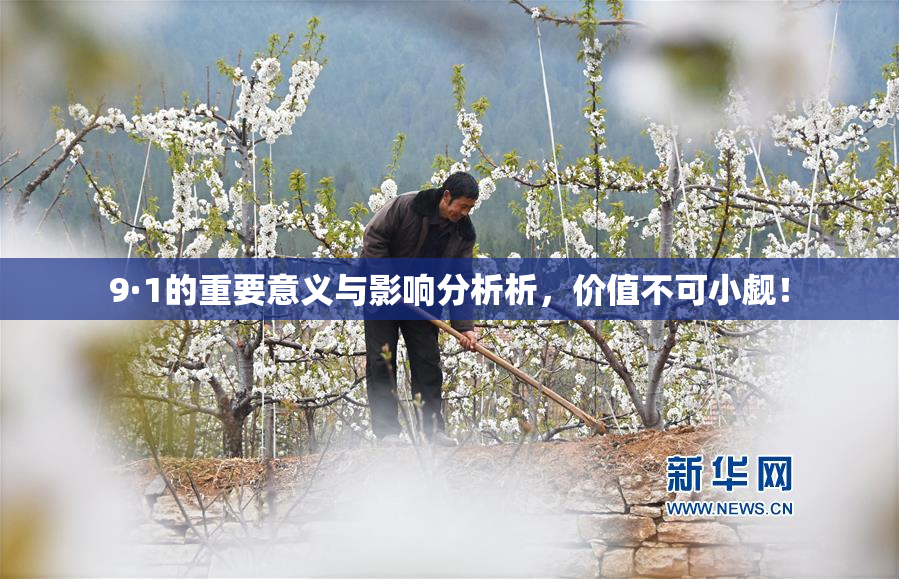 9·1的重要意义与影响分析析，价值不可小觑！