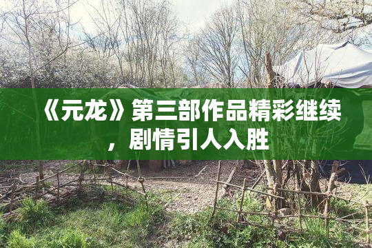 《元龙》第三部作品精彩继续，剧情引人入胜