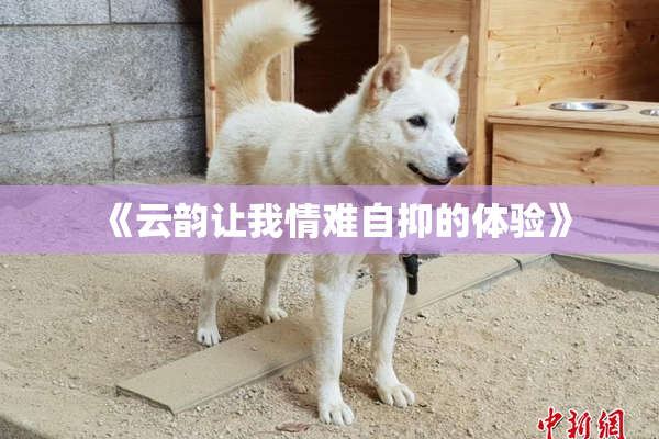 《云韵让我情难自抑的体验》