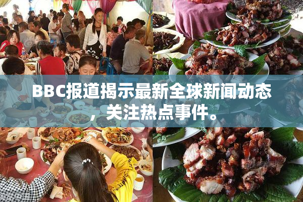 BBC报道揭示最新全球新闻动态，关注热点事件。