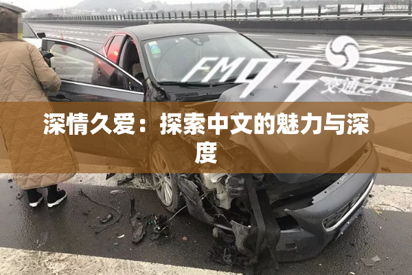 深情久爱：探索中文的魅力与深度