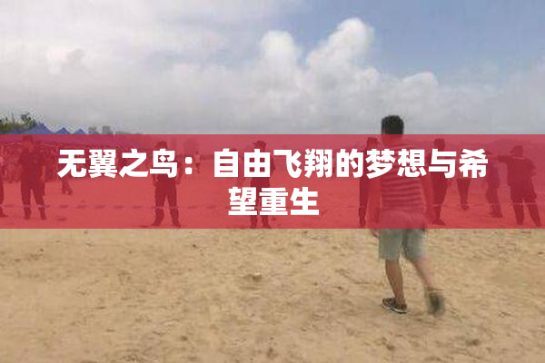 无翼之鸟：自由飞翔的梦想与希望重生