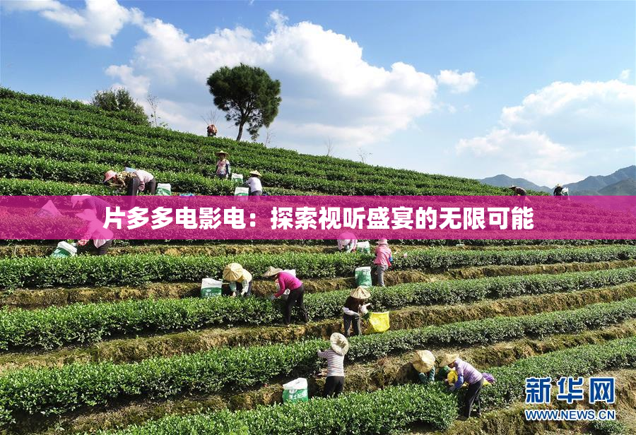 片多多电影电：探索视听盛宴的无限可能