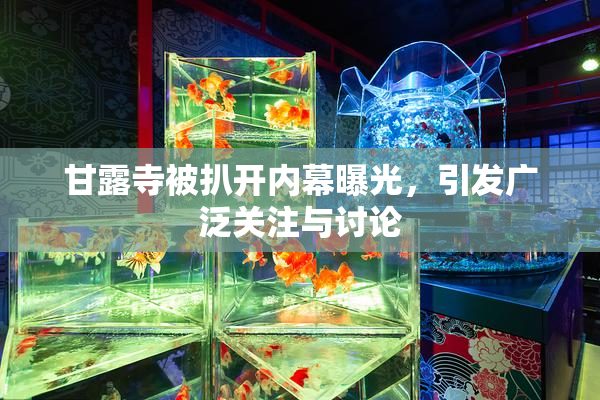 甘露寺被扒开内幕曝光，引发广泛关注与讨论