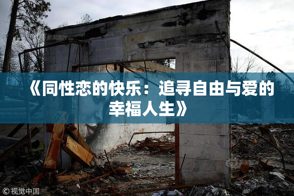 《同性恋的快乐：追寻自由与爱的幸福人生》