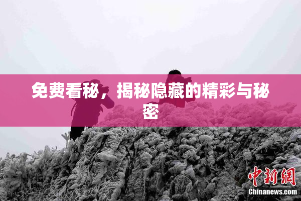 免费看秘，揭秘隐藏的精彩与秘密
