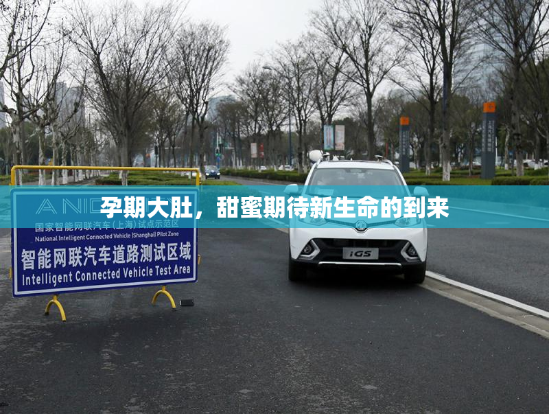 孕期大肚，甜蜜期待新生命的到来