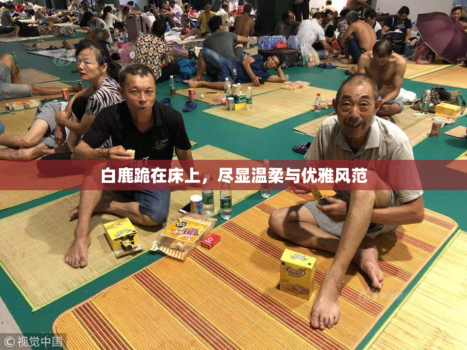 白鹿跪在床上，尽显温柔与优雅风范