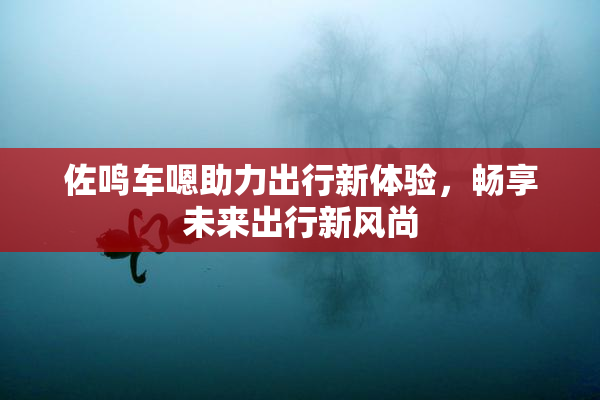 佐鸣车嗯助力出行新体验，畅享未来出行新风尚