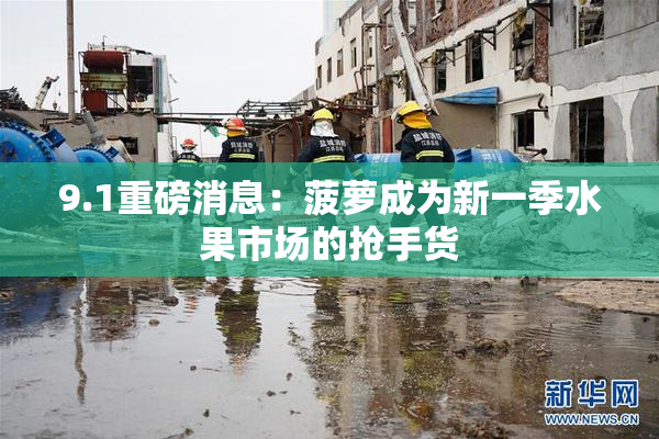 9.1重磅消息：菠萝成为新一季水果市场的抢手货
